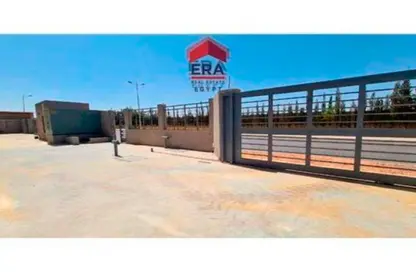 Warehouse - Studio - 2 Bathrooms for rent in Belbeis   10th of Ramadan Road - Zezenia 10th of Ramadan - 10th of Ramadan City - Sharqia
