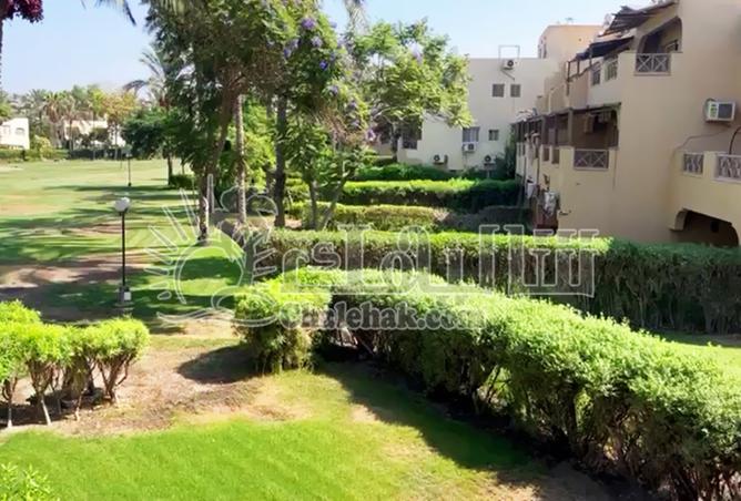 8385623 - Property Image 3