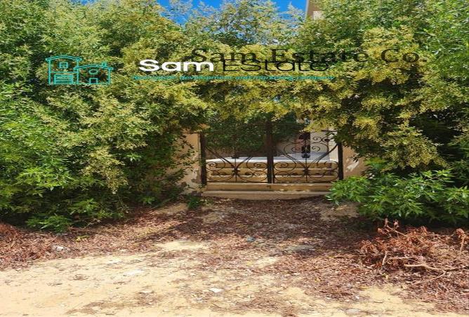 6141209 - صورة العقار 3