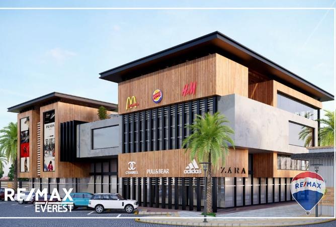 8345369 - Property Image 3