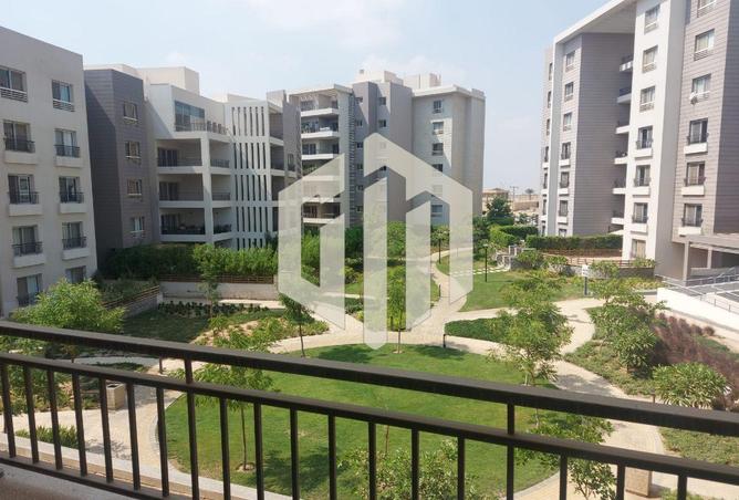 8243558 - صورة العقار 2