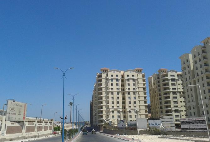 8431193 - Property Image 3