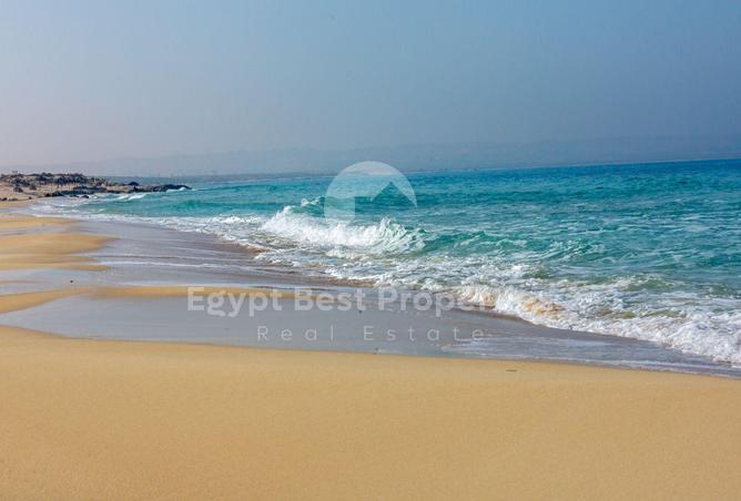 7904838 - صورة العقار 3