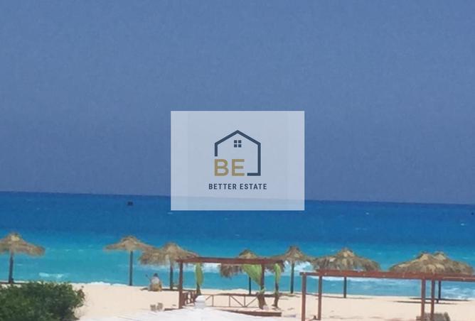 7835730 - Property Image 3