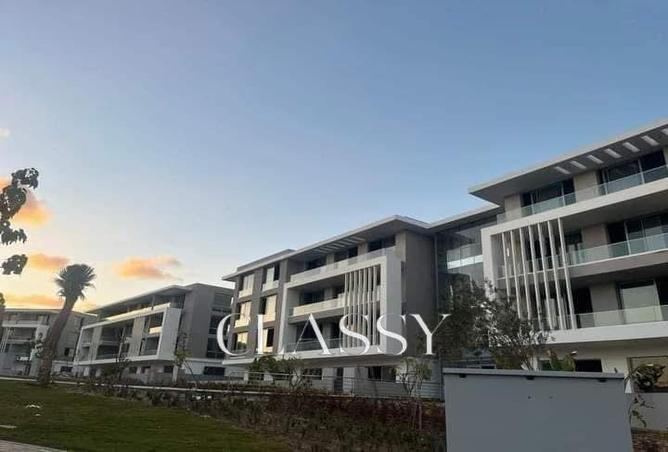 7991811 - Property Image 3