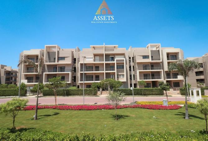 8135296 - Property Image 2