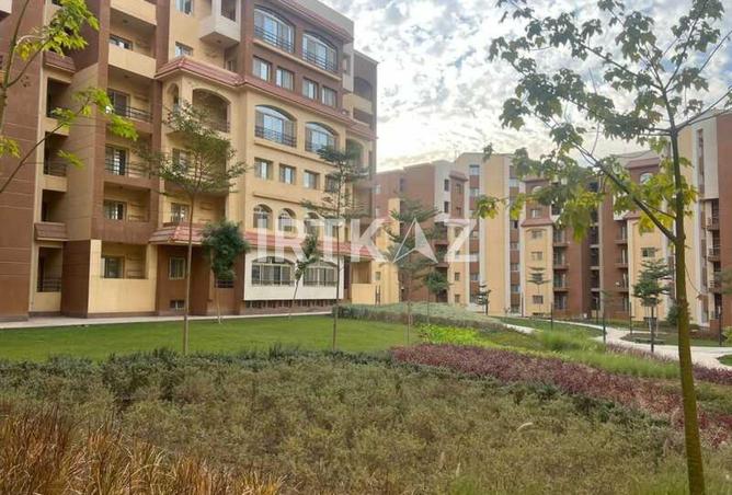 8016414 - Property Image 3