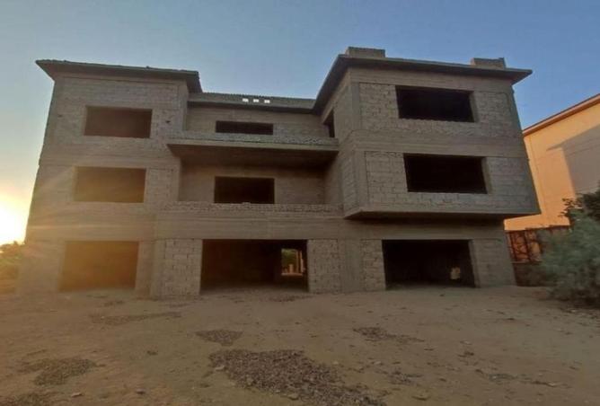 8413605 - صورة العقار 3