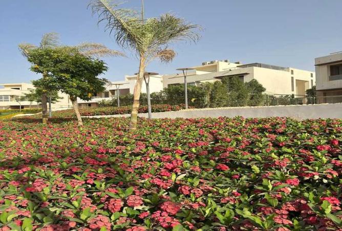 8272330 - صورة العقار 3