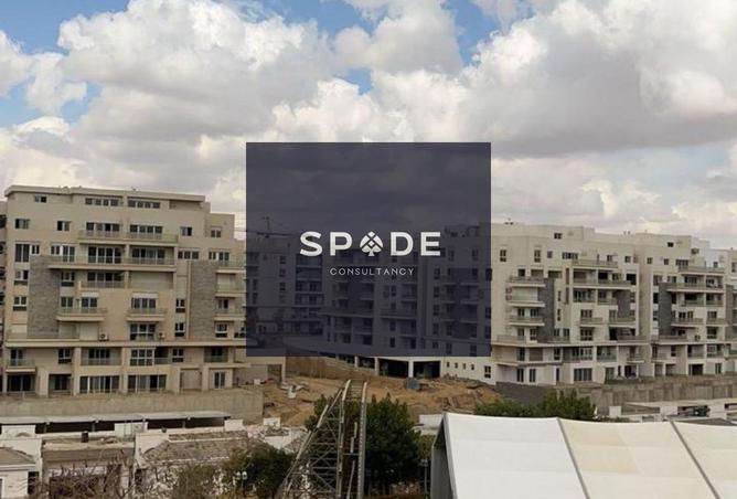 8399239 - Property Image 3