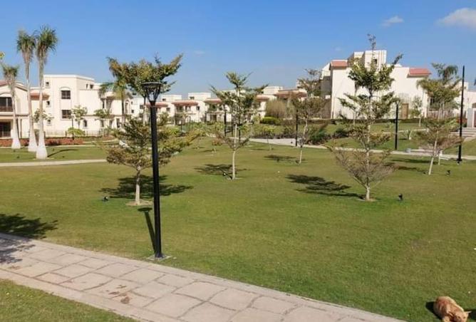 8264376 - Property Image 3