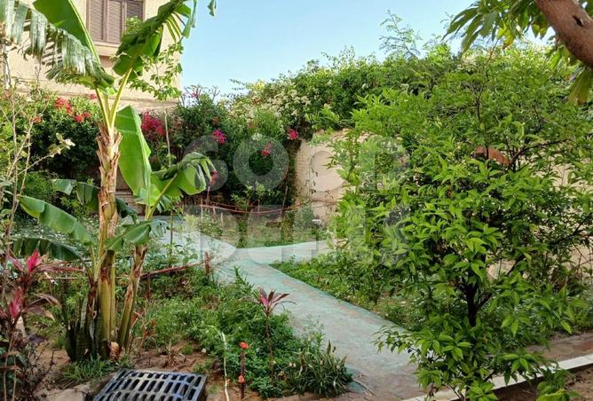 8309141 - صورة العقار 3