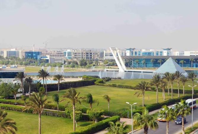 8239770 - صورة العقار 2