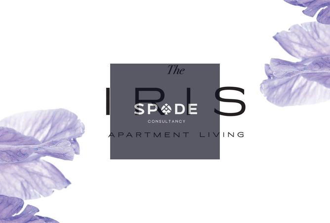 8165919 - Property Main Image