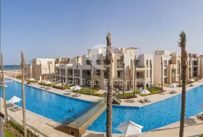 8458583 - Property Image 3