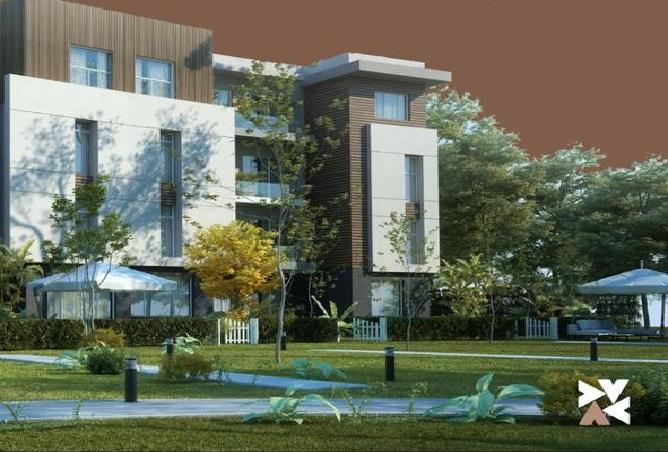 7988503 - Property Image 3