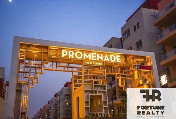 8394813 - Property Image 3