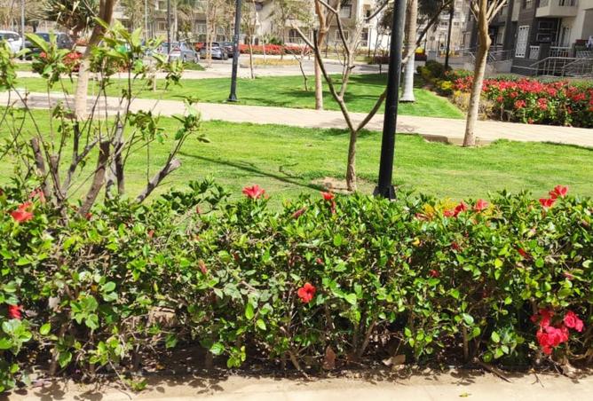 8272893 - صورة العقار 3