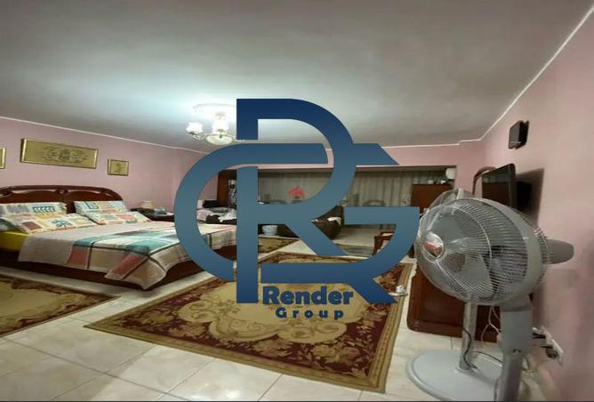7984794 - Property Image 3
