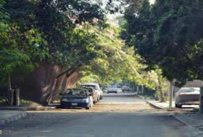 8558669 - صورة العقار 2