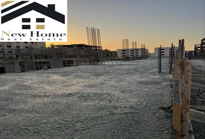 7972666 - Property Image 3
