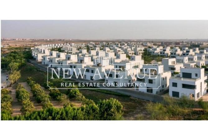 8436203 - Property Image 2