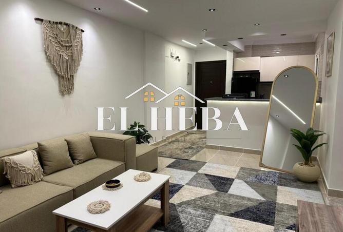 8127253 - Property Image 3