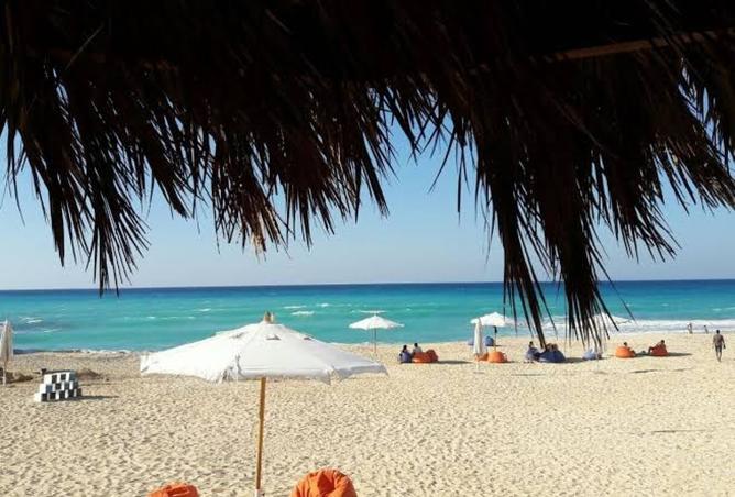 8348010 - صورة العقار 3