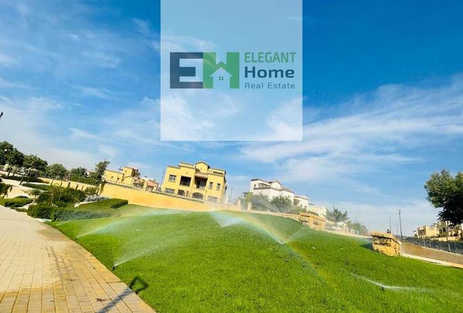 8034913 - صورة العقار 3
