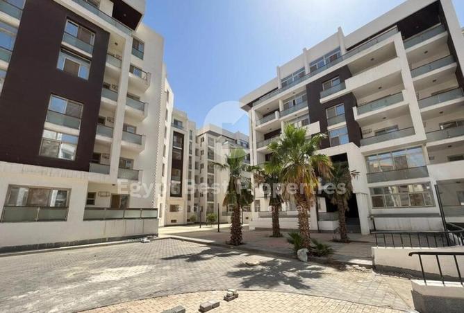 8194206 - Property Image 3