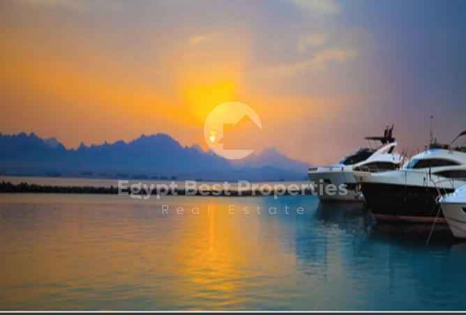 8000258 - صورة العقار 2