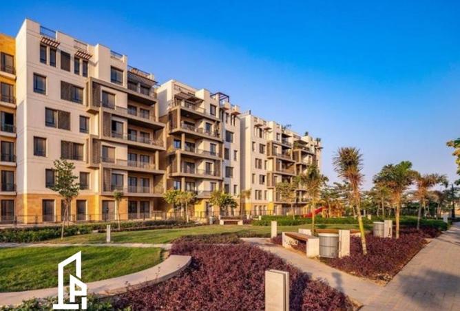 8096329 - Property Image 3