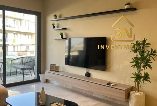 8124071 - Property Image 3