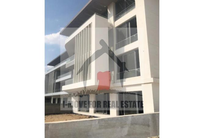 8431603 - Property Image 3