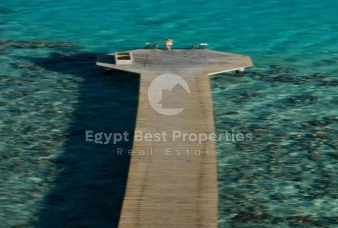 8392240 - صورة العقار 3