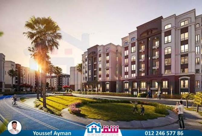 8088964 - Property Image 3