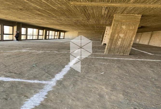 8329426 - Property Image 3