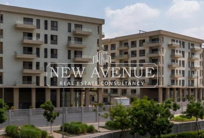 8206561 - Property Image 3