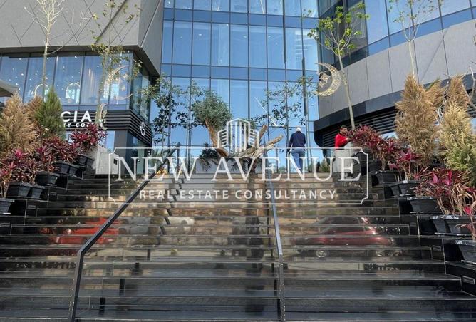 8206589 - Property Image 3