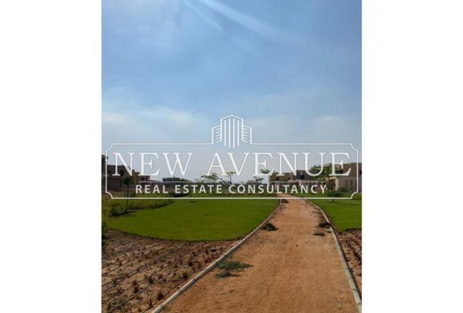 8265382 - Property Image 3