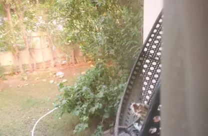 شقة - 3 غرف نوم - 1 حمام للايجار في تاج سلطان - الطريق الدائري - القاهرة