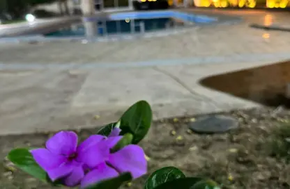 قطعة أرض - استوديو للبيع في جمعية احمد عرابى - مدينة العبور - القليوبية