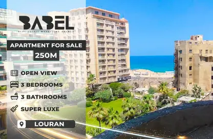 Apartment - 3 Bedrooms - 3 Bathrooms for sale in Al Ekbal St. - Laurent - Hay Sharq - Alexandria