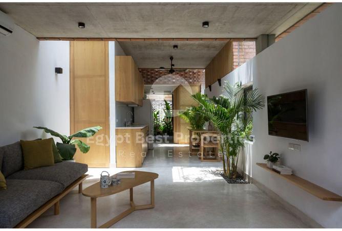 8470137 - Property Image 3