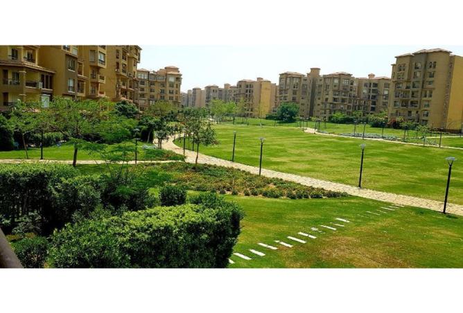 8344790 - Property Image 2