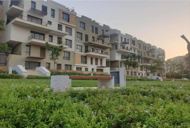 8397495 - Property Image 3