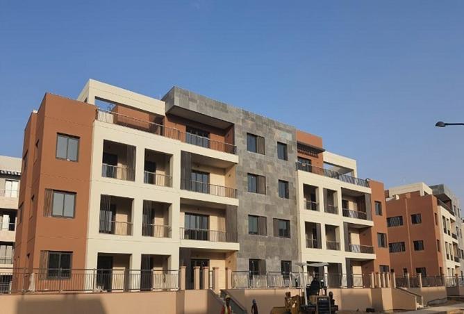 8099088 - Property Image 3
