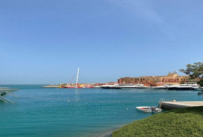 8007252 - صورة العقار 3