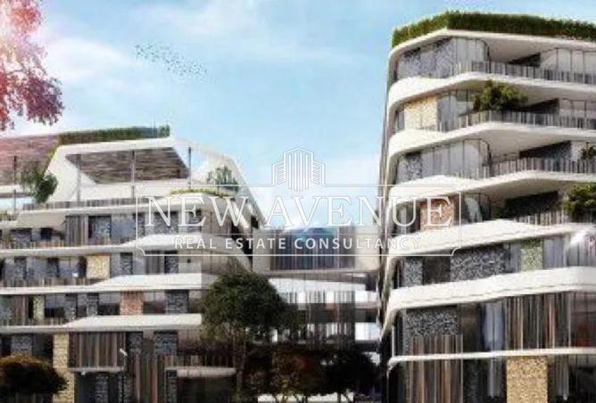 8400362 - Property Image 3