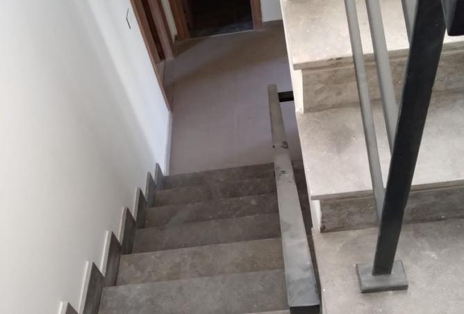 8182243 - صورة العقار 2